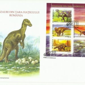Romania 2005 - FDC (format mare)