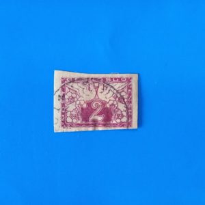 Cehoslovacia 1919 (Michel11,5euro)