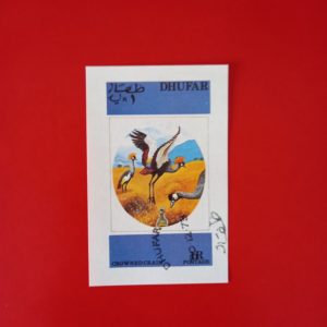Dhufar 1973 - colita