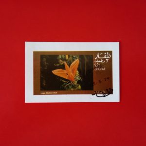 Dhufar 1974 - colita