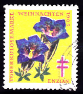 Germania 1965 - vigneta