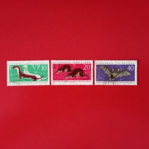 DDR 1962