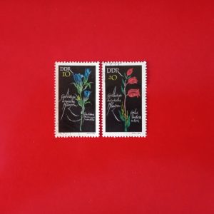 DDR 1966