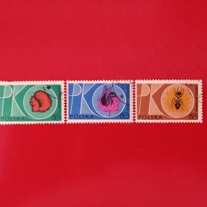Polonia 1961