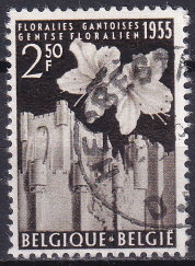 Belgia 1955 (Michel3euro)