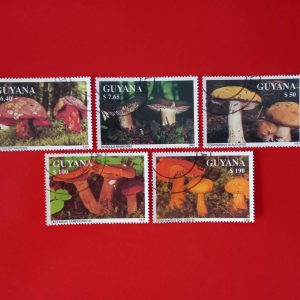 Guyana 1991 - serie completa