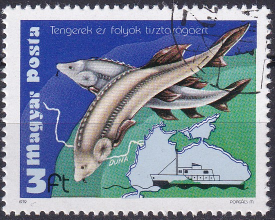 Ungaria 1979 - serie intreaga