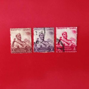 Egipt 1954