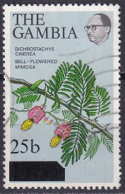 Gambia 1979 - supratipar